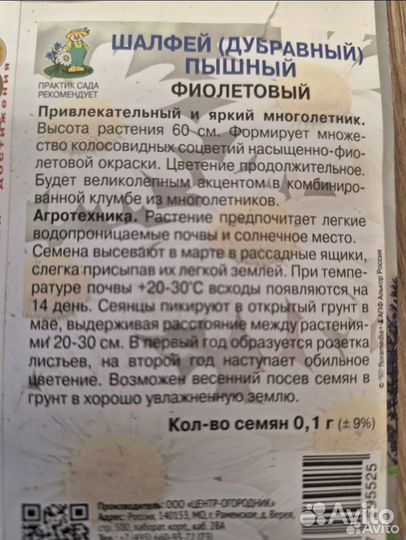 Шалфей дубравный