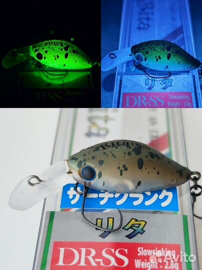 DaySprout Rita DR SS