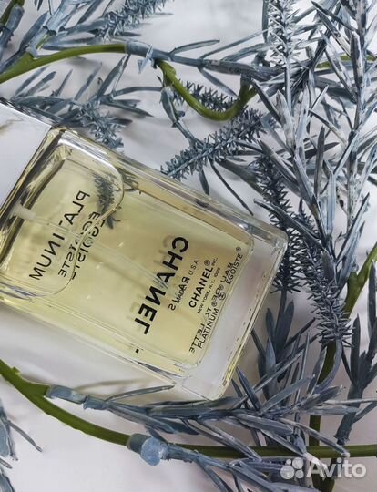 Chanel Egoiste platinum