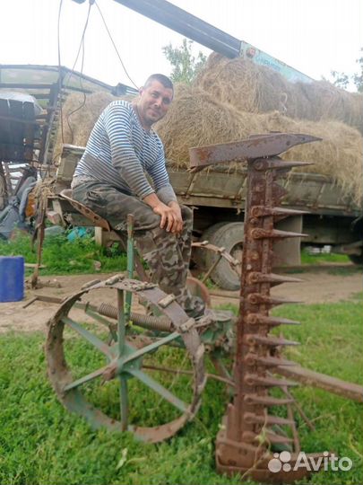 Сено в рулонах 2023