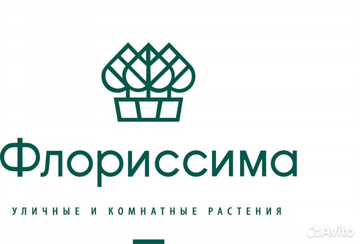 Продавец-консультант в новый цветочный магазин