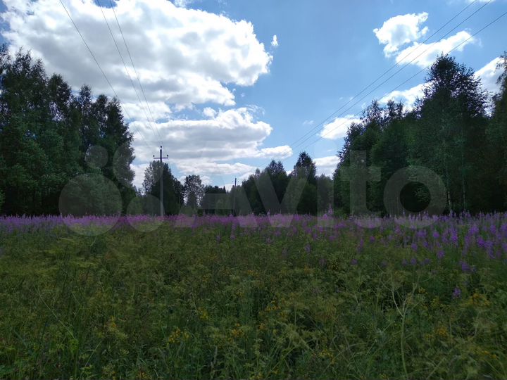 Участок 19 га (СНТ, ДНП)