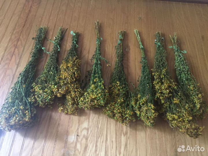 Зверобой из Рязанской области