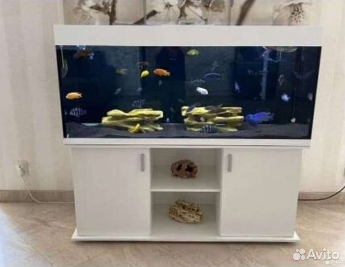 Аквариум 1000 л террариумы черепашники