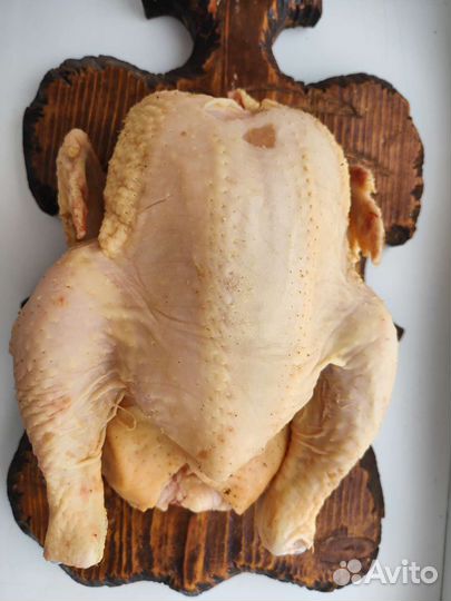 Куры бройлеры тушки мясо