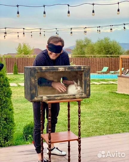 Нащупай шоу, Кажется нащупал, аниматор