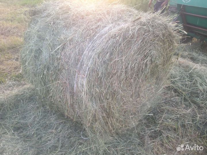 Сено в рулонах