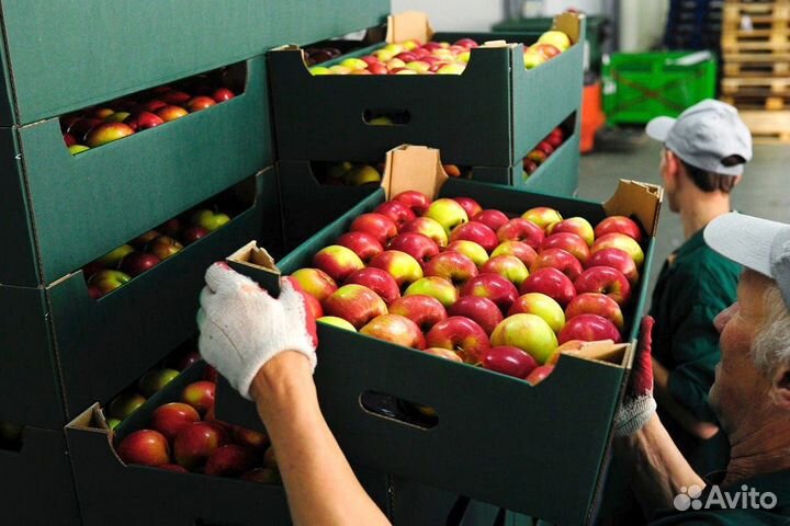 Грузчик в столовую (Дивногорск)