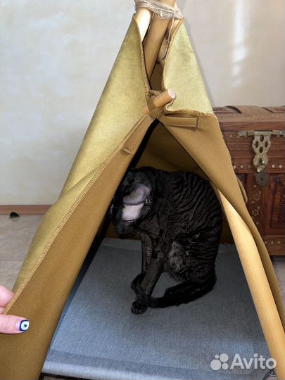 Домик лежанка для кошки Wigwam