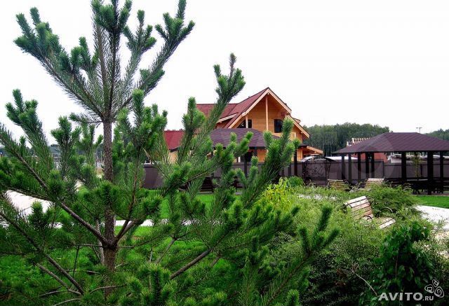 Участок 17,8 сот. (ИЖС)