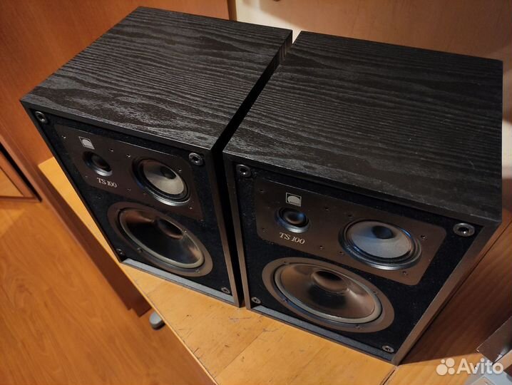 Arcus TS 100 акустика