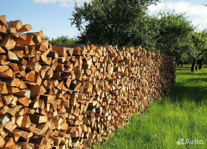 Дрова березовые