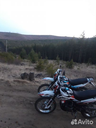 Продам Racer Panther