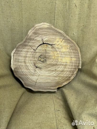 Спил карагача