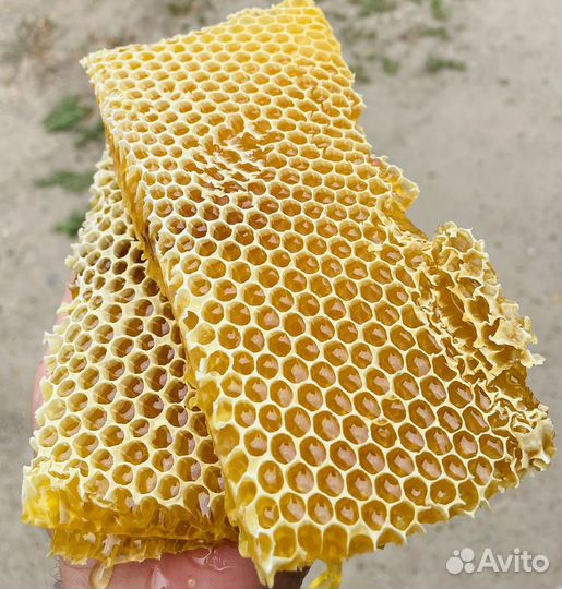 Мед со своей пасеки