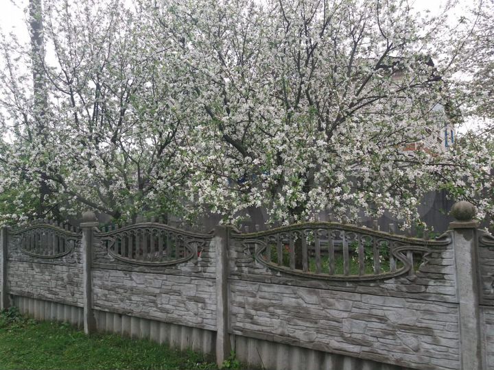 3-к. квартира, 70,5 м², 1/2 эт.