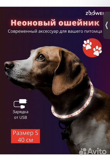 Светящийся ошейник для собак