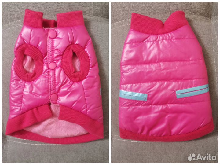 Одежда для собак