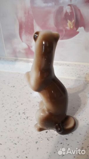 Ласка куница соболь фарфор