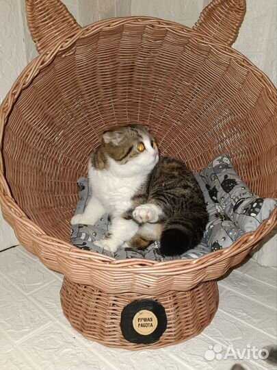 Лежанка для кошек плетеная