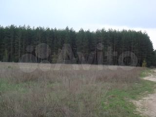 Участок 8,5 га (ИЖС)