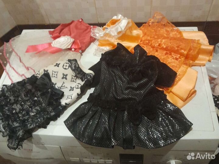 Одежда для собак и кошек