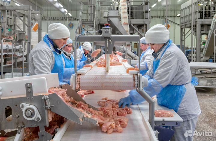 Вахта на Птицефабрику Самарская область