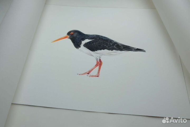 Картина акварелью 