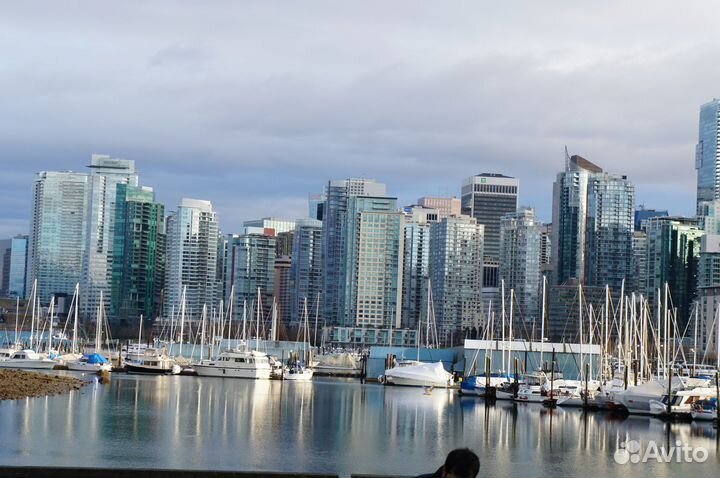 Репетитор по английскому языку