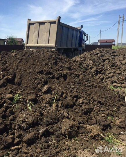 Чернозем чeрный