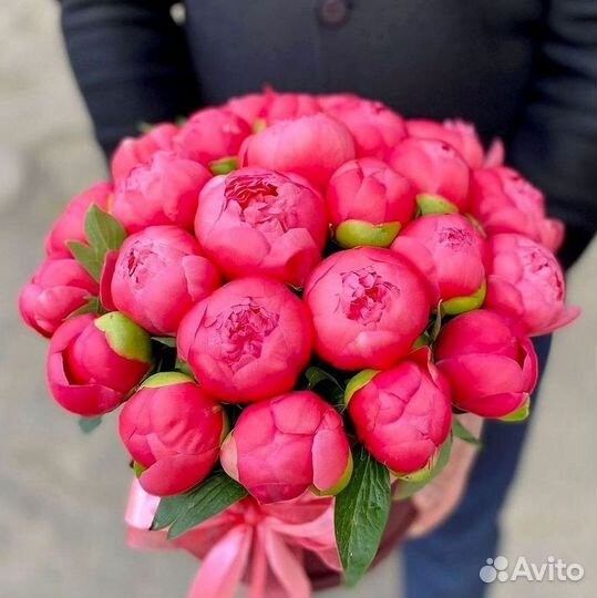 Пионы Букет