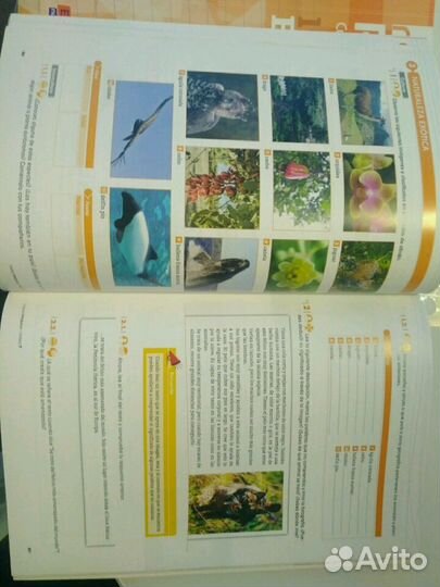 Учебник по Испанскому языку B1