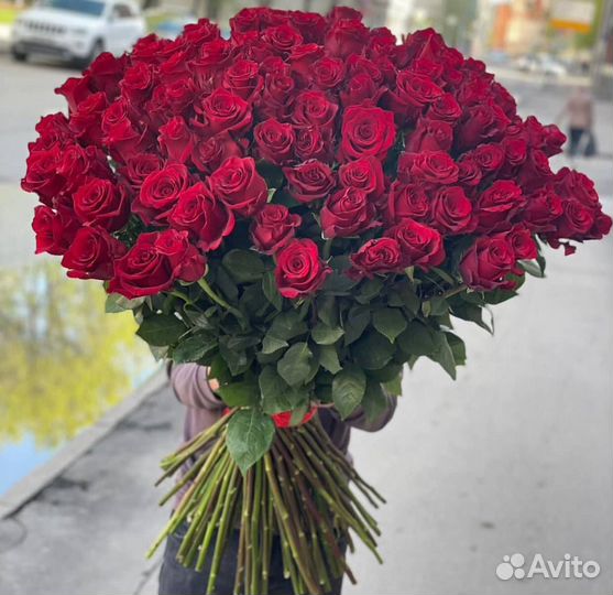 Роза метровая