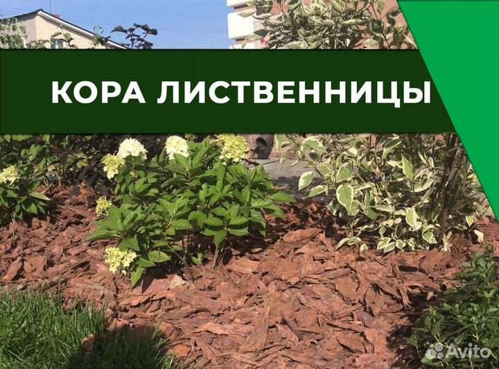 Кора лиственницы в ассортименте