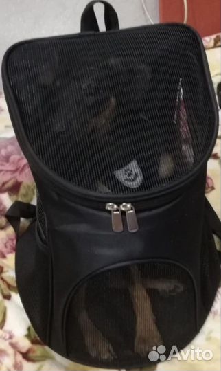 Рюкзак для перевозки