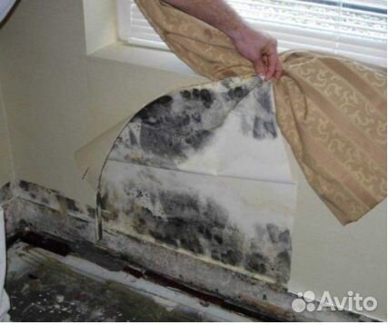 Профессиональная быстрая 100% просушка дома