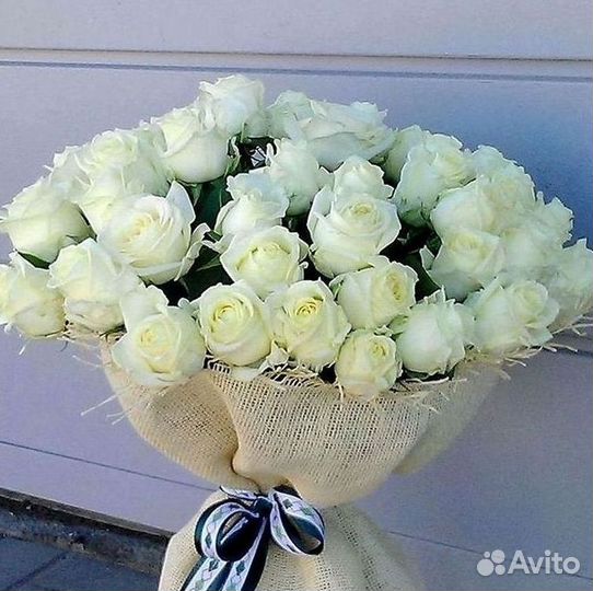 Высокие розы Гигантские Розы 150 160 170 180 190см