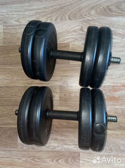 Набор гантелей 2 шт. по 10 кг
