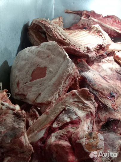 Мясо говядина туши, 3 категория