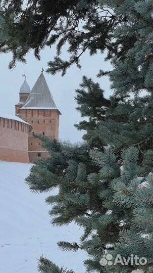 Гид /Экскурсовод по Великому Новгороду