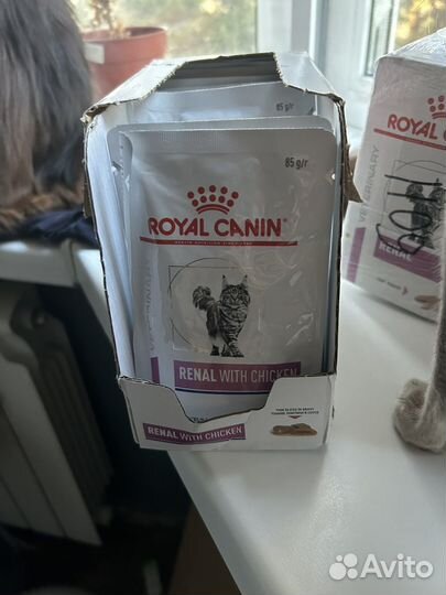 Корм для кошек royal canin renal