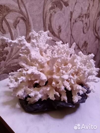 Коралл. Фонарь водонепроницаемый