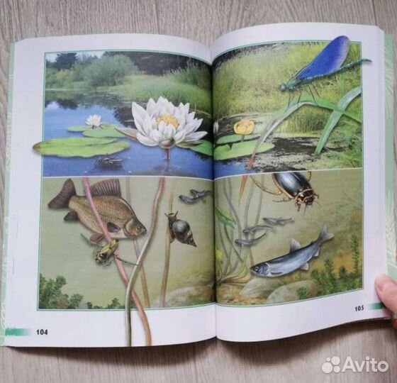 Плешаков Окружающий мир: дополнит. учебные пособия