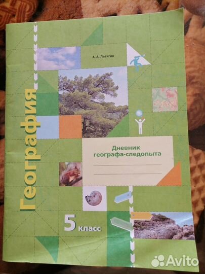 Рабочая тетрадь и учебники 5-6 класс