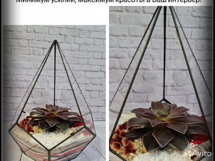 Флорариум. Комнатные растения. Суккуленты. Подарок