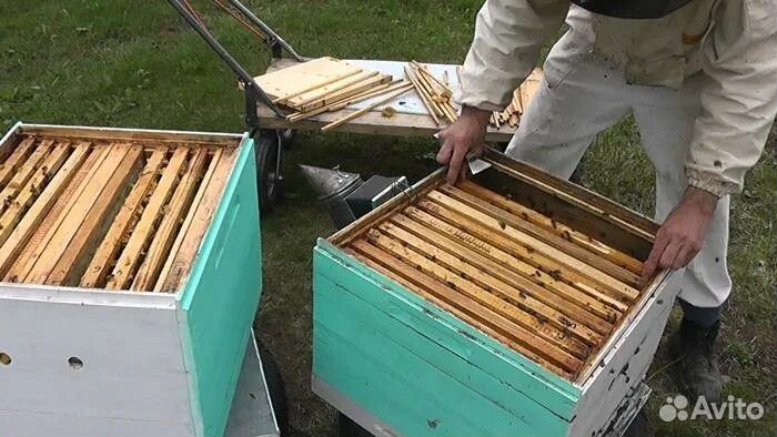 Пчелоинвентарь