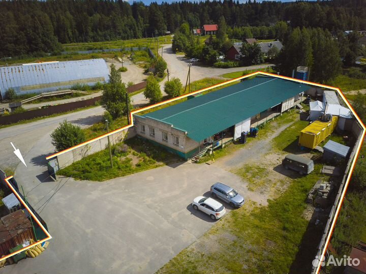 Пр-во чая, цукатов, варения и т.п