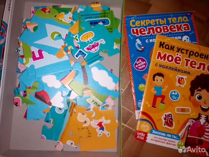 Развивающий пазл Моё тело