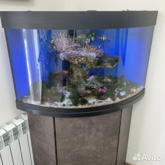 Аквариум с рыбками