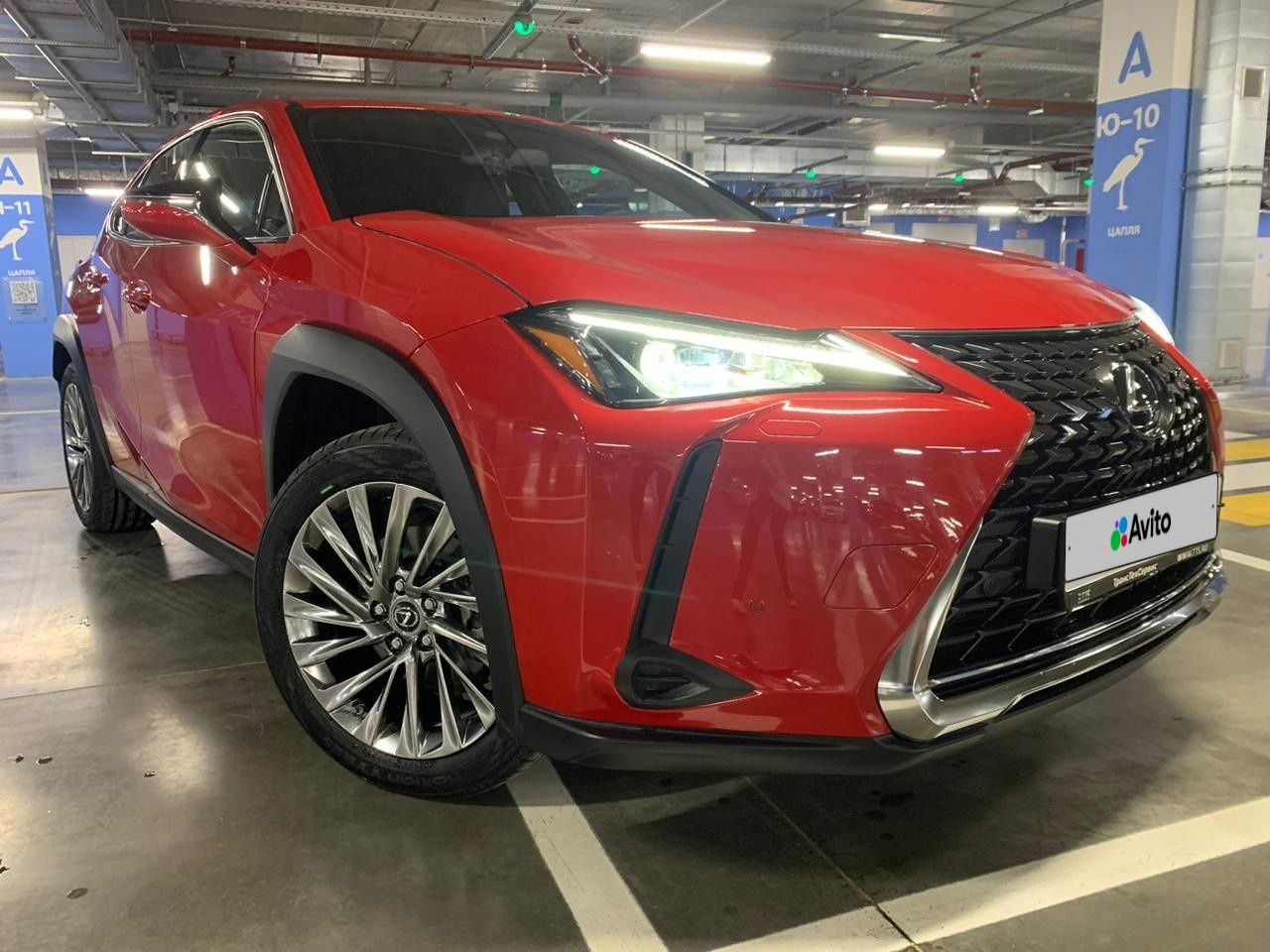 Lexus UX: фото из отзыва
